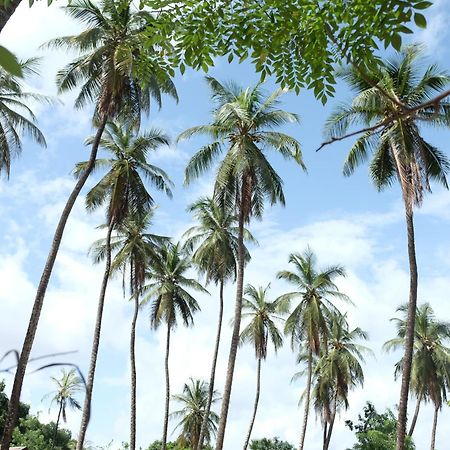 Centre Touristique Et Culturel Casamance Guest House Diakene Ouolof Exterior photo