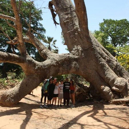Centre Touristique Et Culturel Casamance Guest House Diakene Ouolof Exterior photo