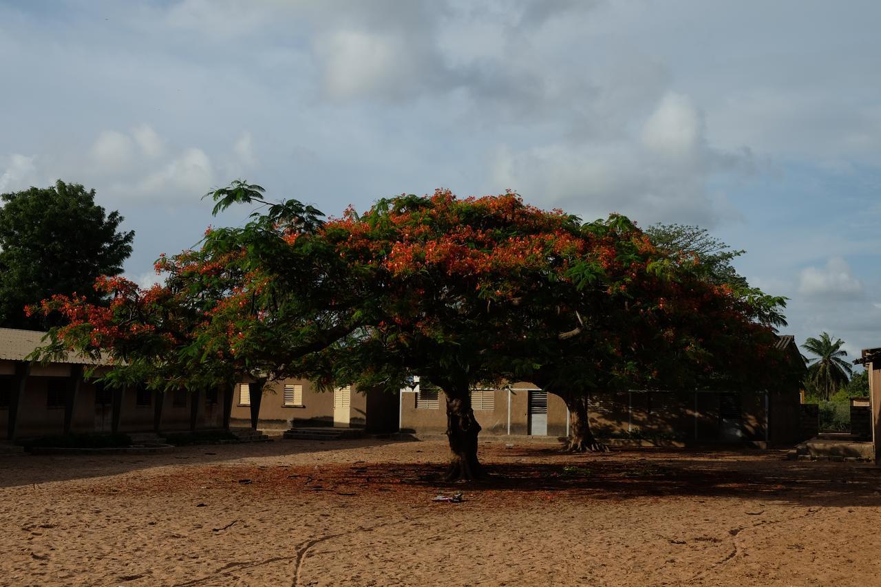 Centre Touristique Et Culturel Casamance Guest House Diakene Ouolof Exterior photo