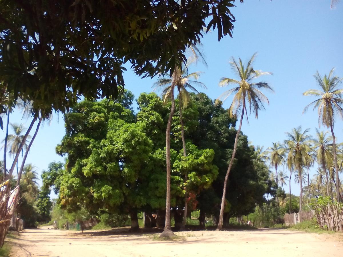 Centre Touristique Et Culturel Casamance Guest House Diakene Ouolof Exterior photo