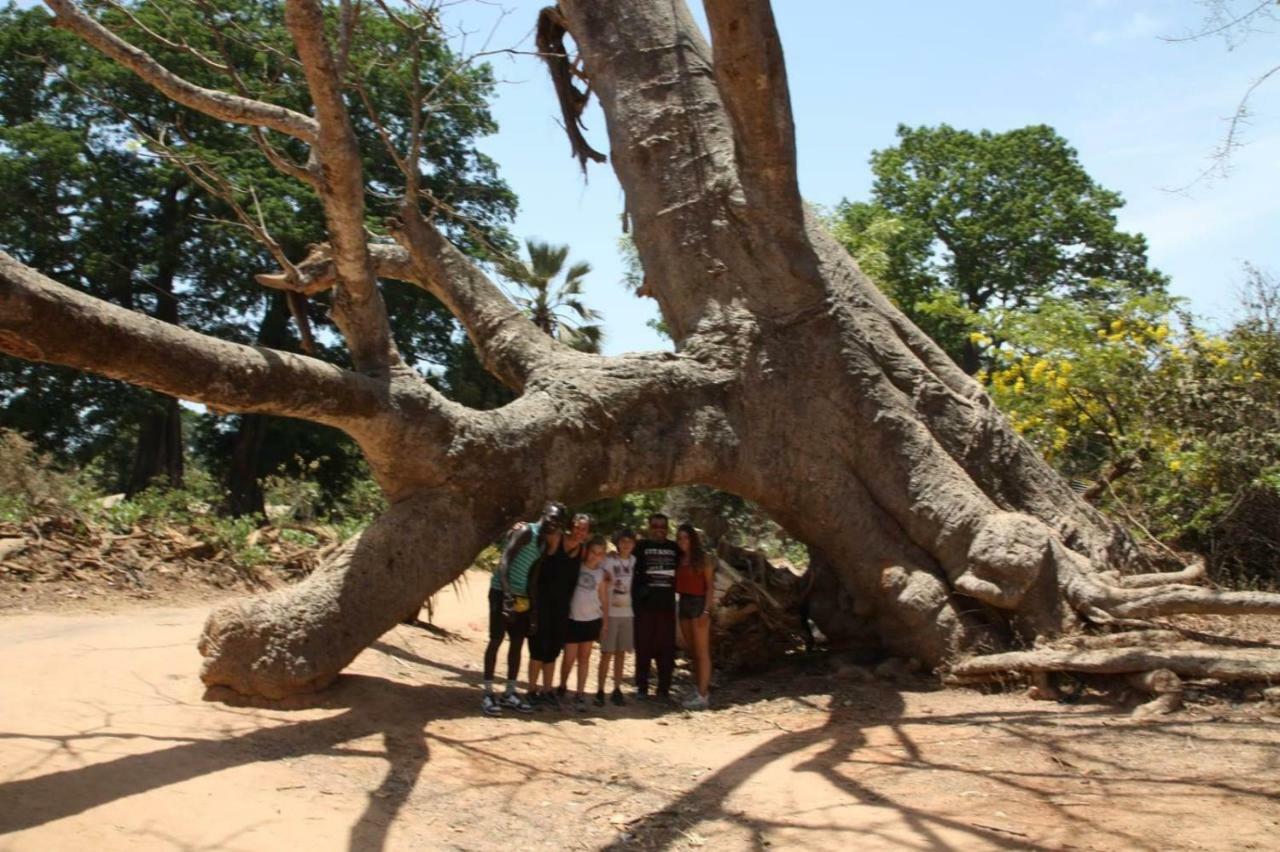 Centre Touristique Et Culturel Casamance Guest House Diakene Ouolof Exterior photo