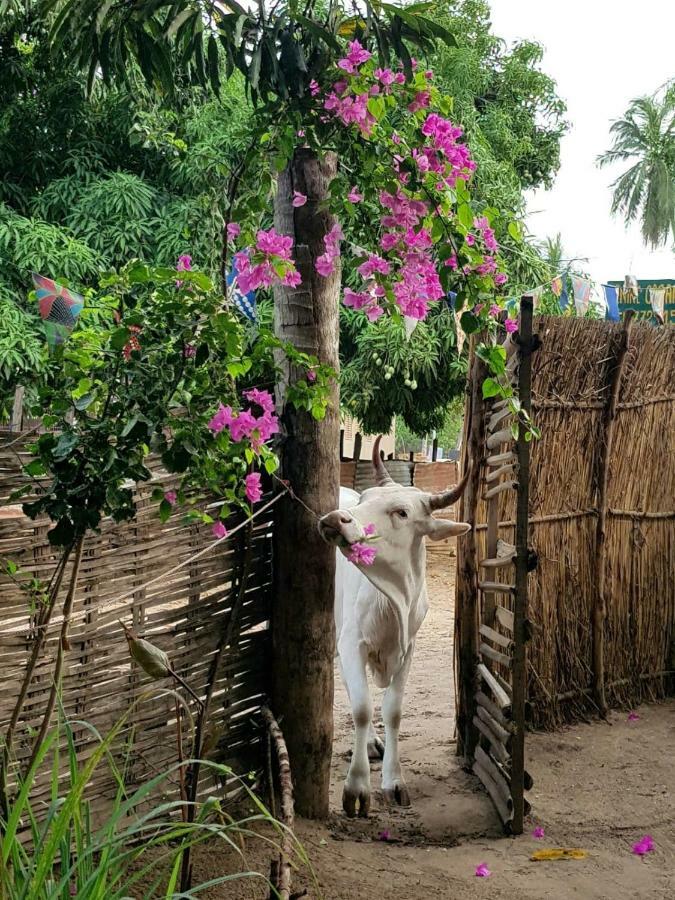 Centre Touristique Et Culturel Casamance Guest House Diakene Ouolof Exterior photo